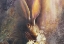 Picture of BY A HARE