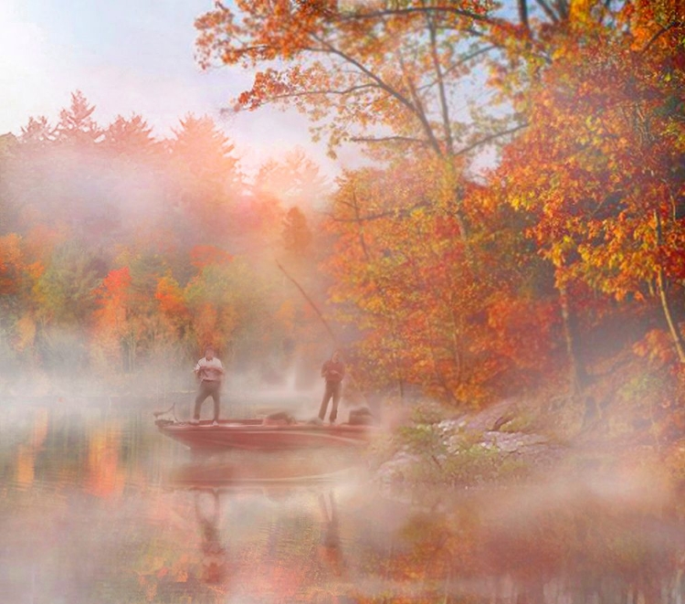 Picture of FALL BASS