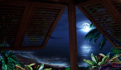Picture of TROPICAL DREAM MOON VIEW