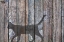 Picture of BARN CAT SHADOW 5