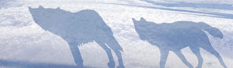 Picture of WOLF PACK SHADOWS