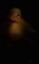 Picture of DUCKLING