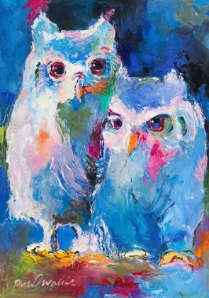 Picture of OWLS
