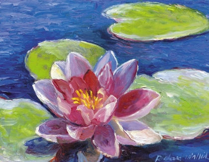 Picture of LILY PAD FLOWERS
