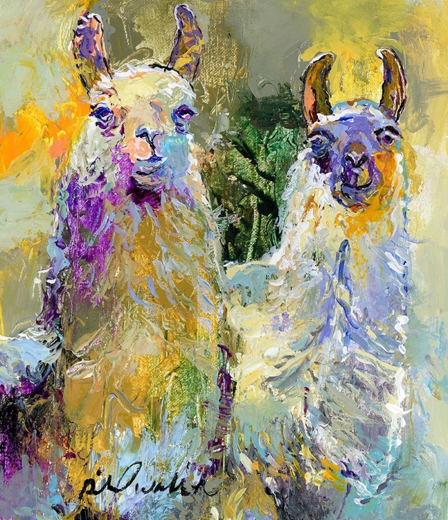 Picture of LLAMAS