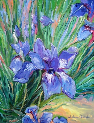 Picture of IRIS