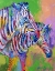 Picture of ZEBRA