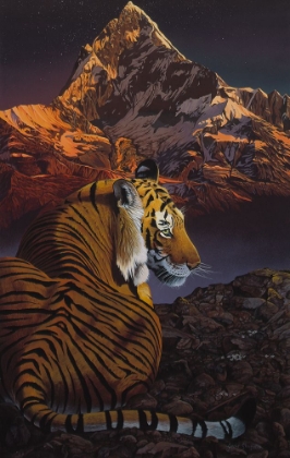 Picture of COSMIC TIGER