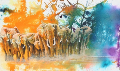 Picture of ELEPHANT TRIBE