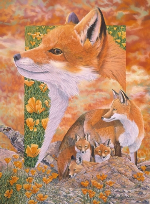 Picture of FOXES