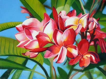 Picture of FRANGIPANI DAYS