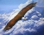 Picture of LIFTED TO THE SKY