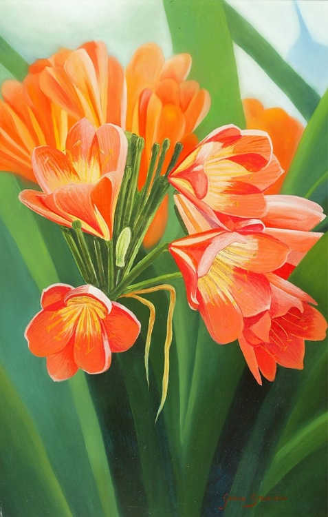 Picture of ORANGE FLOWER 2