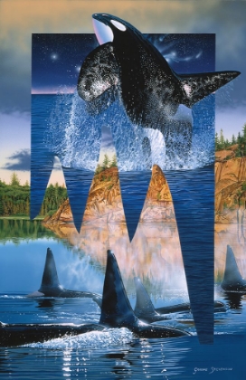 Picture of ORCA REFLECTIONS