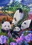 Picture of PANDA PLAY