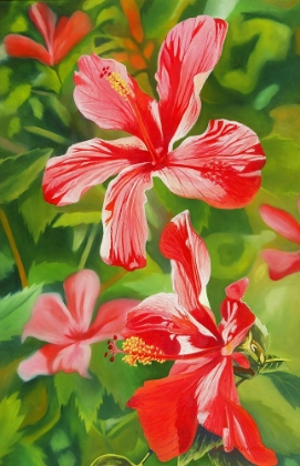 Picture of RED HIBISCUS 3