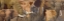 Picture of LONG ELE