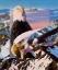 Picture of SCREAMING EAGLES
