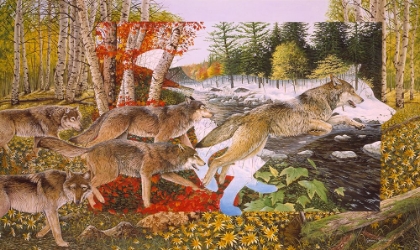 Picture of SEASONS OF THE WOLF