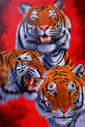 Picture of TIGERS