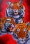 Picture of TIGERS