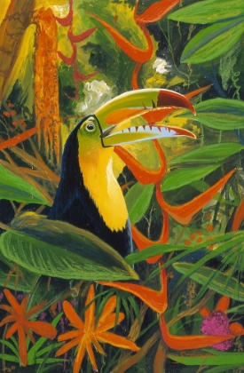 Picture of TOUCAN COLORS