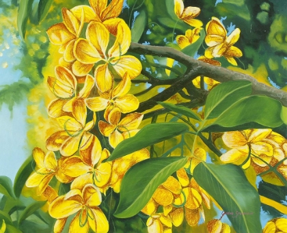 Picture of YELLOW FLOWER