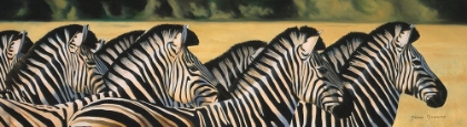 Picture of ZEBRAS