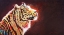 Picture of TIGER NIGHT