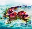 Picture of WATER OTTER