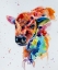 Picture of BISON CALF_1