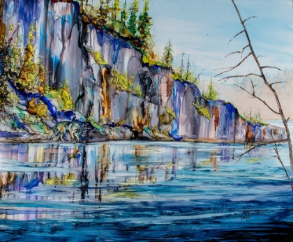 Picture of CANADIAN SHIELD ME