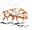 Picture of CELLULAR BISON