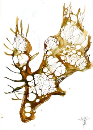 Picture of CELLULAR SERIES - MOOSE