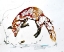 Picture of CELLULAR SERIES - RED FOX