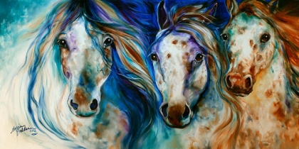 Picture of 3 WILD APPALOOSA HORSES