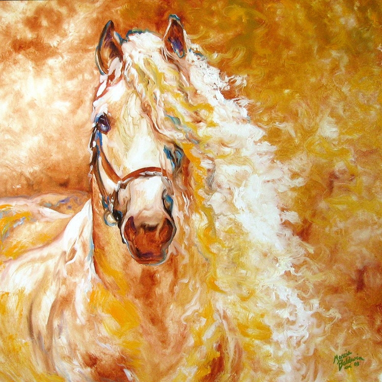 Picture of GOLDEN GRACE ANDALUSIAN EQUINE