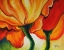 Picture of GOLDEN POPPY ABSTRACT