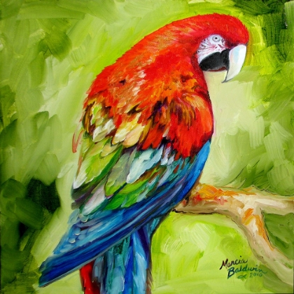Picture of MACAW TROPICAL