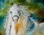 Picture of WHITE CLOUD THE ANDLUSIAN STALLION