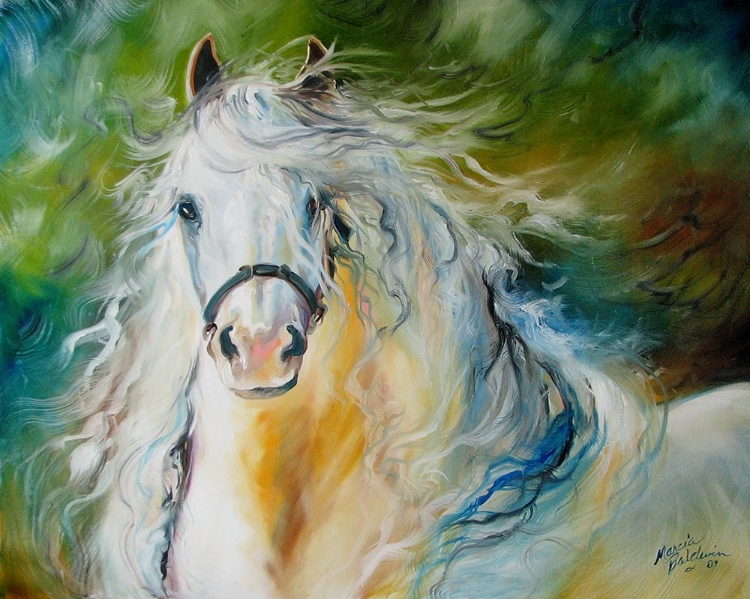 Picture of WHITE CLOUD THE ANDLUSIAN STALLION