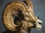 Picture of BIGHORN TOTEM