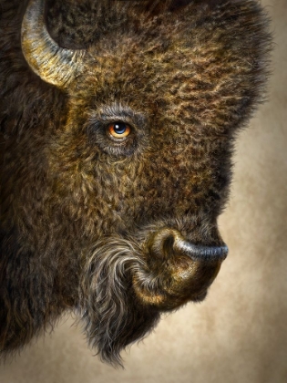 Picture of BISON TOTEM