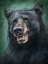 Picture of BLACK BEAR TOTEM