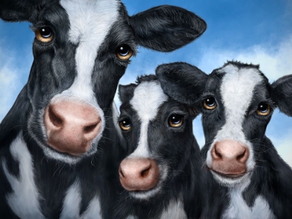 Picture of COWS