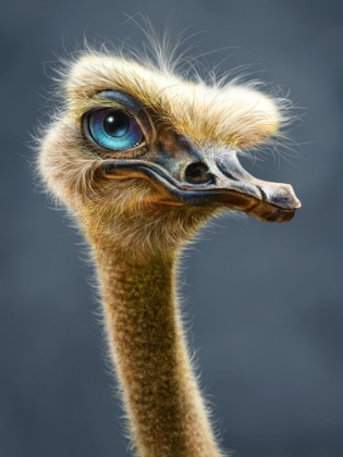 Picture of OSTRICH TOTEM