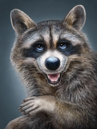 Picture of RACCOON TOTEM