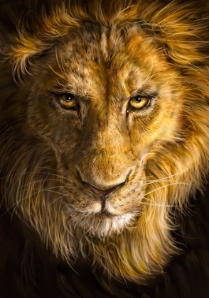 Picture of LION