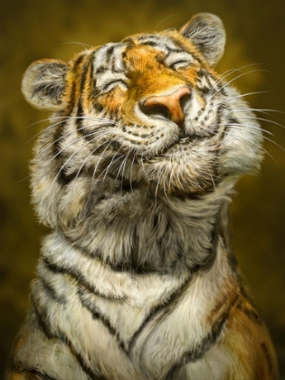 Picture of SMILING TIGER