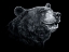 Picture of BLACK WHITE BLACK BEAR